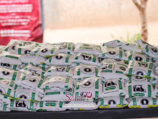 Image 2026-03-04 at 00.21.521
